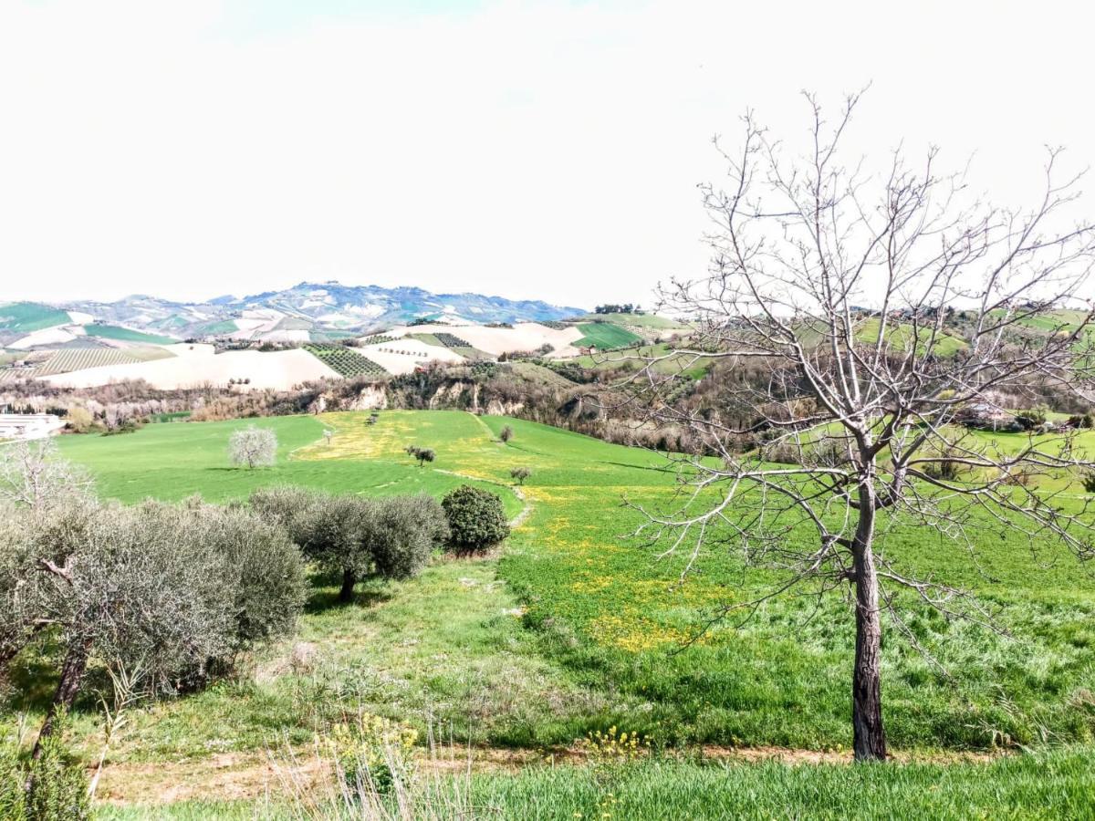 Locanda Tane San Giovanni  Luaran gambar